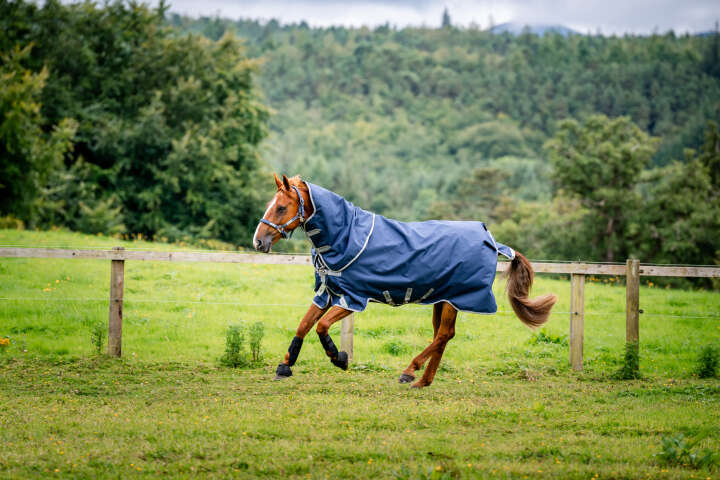 AMIGO Weidedecke Bravo 12 Plus Turnout 0g
